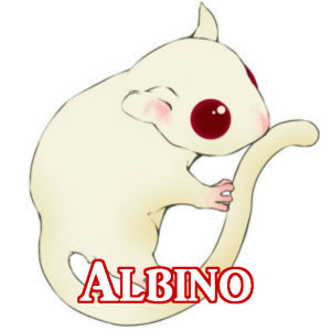 アルビノ